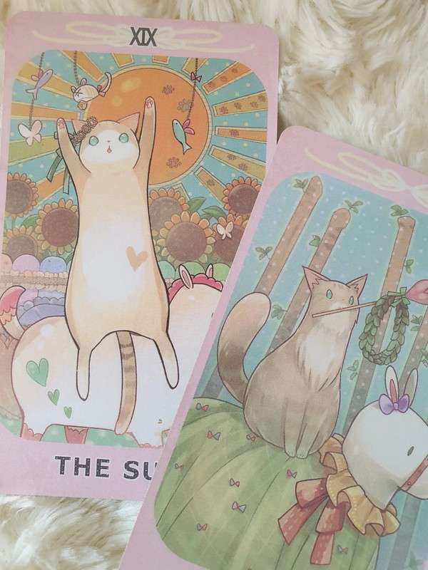 dreaming-cat-tarot