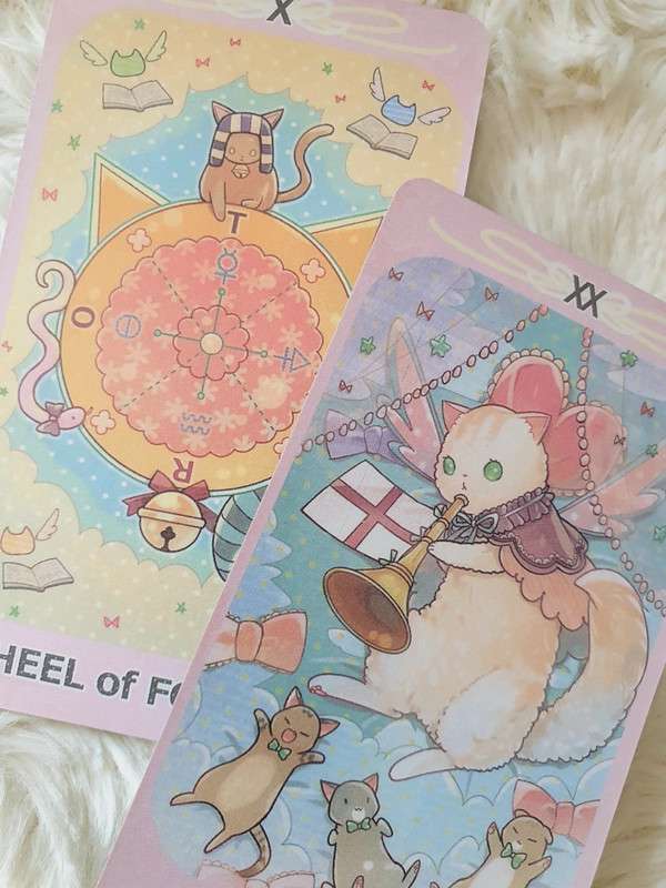 dreaming cat tarot