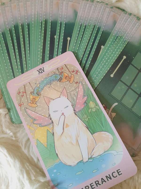 dreaming-cat-tarot