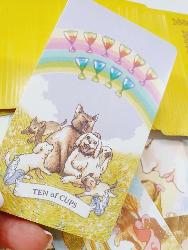 aibo-tarot