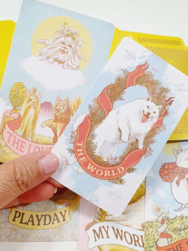 aibo-tarot