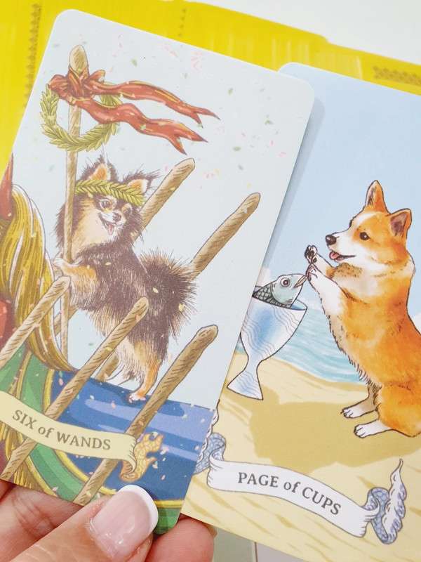aibo-tarot