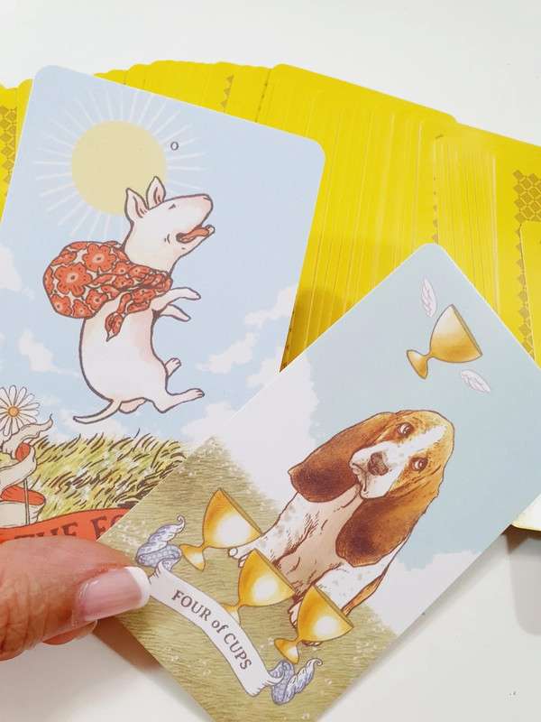 aibo-tarot
